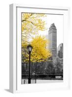 Central Park with Yellow Tree-Emily Navas-Framed Photographic Print