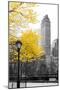 Central Park with Yellow Tree-Emily Navas-Mounted Photographic Print