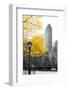 Central Park with Yellow Tree-Emily Navas-Framed Photographic Print