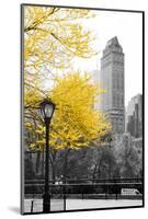 Central Park with Yellow Tree-Emily Navas-Mounted Photographic Print