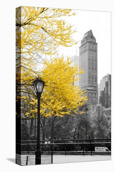 Central Park with Yellow Tree-Emily Navas-Stretched Canvas