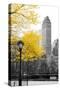 Central Park with Yellow Tree-Emily Navas-Stretched Canvas