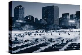 Central Park Wollman Rink-null-Stretched Canvas