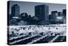 Central Park Wollman Rink-null-Stretched Canvas