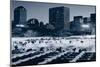 Central Park Wollman Rink-null-Mounted Art Print