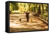 Central Park-1020 Productions-Framed Stretched Canvas