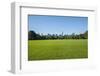 Central Park-Guido Cozzi-Framed Photographic Print