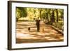 Central Park-1020 Productions-Framed Photographic Print