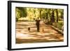 Central Park-1020 Productions-Framed Photographic Print