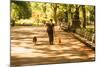 Central Park-1020 Productions-Mounted Photographic Print