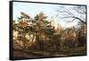 Central Park-Philippe Hugonnard-Framed Stretched Canvas