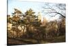 Central Park-Philippe Hugonnard-Stretched Canvas