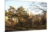 Central Park-Philippe Hugonnard-Mounted Giclee Print
