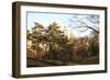 Central Park-Philippe Hugonnard-Framed Giclee Print