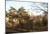 Central Park-Philippe Hugonnard-Mounted Giclee Print