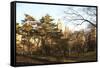 Central Park-Philippe Hugonnard-Framed Stretched Canvas