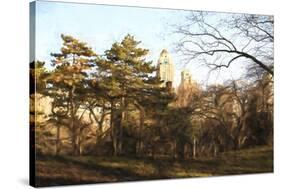 Central Park-Philippe Hugonnard-Stretched Canvas