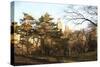 Central Park-Philippe Hugonnard-Stretched Canvas