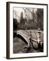 Central Park-Chris Bliss-Framed Premium Photographic Print