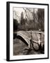 Central Park-Chris Bliss-Framed Premium Photographic Print