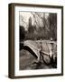 Central Park-Chris Bliss-Framed Photographic Print