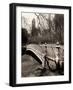 Central Park-Chris Bliss-Framed Photographic Print