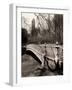 Central Park-Chris Bliss-Framed Photographic Print