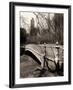 Central Park-Chris Bliss-Framed Photographic Print