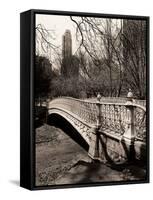 Central Park-Chris Bliss-Framed Stretched Canvas