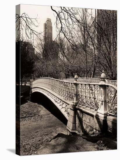 Central Park-Chris Bliss-Stretched Canvas