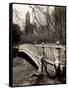 Central Park-Chris Bliss-Framed Stretched Canvas