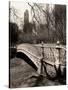 Central Park-Chris Bliss-Stretched Canvas