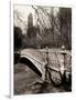 Central Park-Chris Bliss-Framed Photographic Print