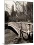 Central Park-Chris Bliss-Mounted Photographic Print