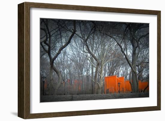 Central Park-NaxArt-Framed Art Print