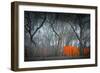 Central Park-NaxArt-Framed Art Print