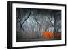 Central Park-NaxArt-Framed Art Print