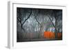 Central Park-NaxArt-Framed Art Print