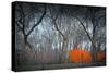 Central Park-NaxArt-Stretched Canvas