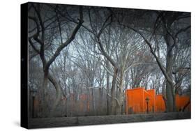 Central Park-NaxArt-Stretched Canvas