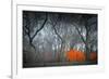 Central Park-NaxArt-Framed Premium Giclee Print