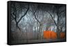 Central Park-NaxArt-Framed Stretched Canvas