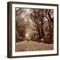 Central Park-Sasha Gleyzer-Framed Art Print