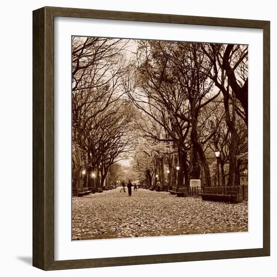 Central Park-Sasha Gleyzer-Framed Art Print