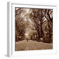 Central Park-Sasha Gleyzer-Framed Art Print