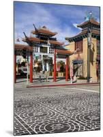 Central Plaza East Gate in Chinatown, Los Angeles, California, USA-Richard Cummins-Mounted Photographic Print