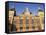 Central Station, Amsterdam, the Netherlands (Holland)-Sergio Pitamitz-Framed Stretched Canvas