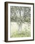 Central Tree-Mikael Svensson-Framed Giclee Print