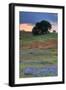 Central Valley Storm Late Afternoon-Vincent James-Framed Photographic Print