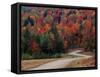 Central Vermont in the Fall, USA-Charles Sleicher-Framed Stretched Canvas